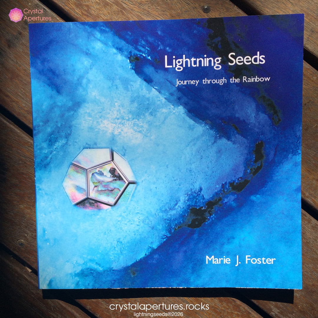 Book cover of Lightning Seeds: Journey through the Rainbow, a book for change by Marie J Foster